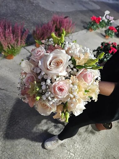 Grande Image de nos réalisations