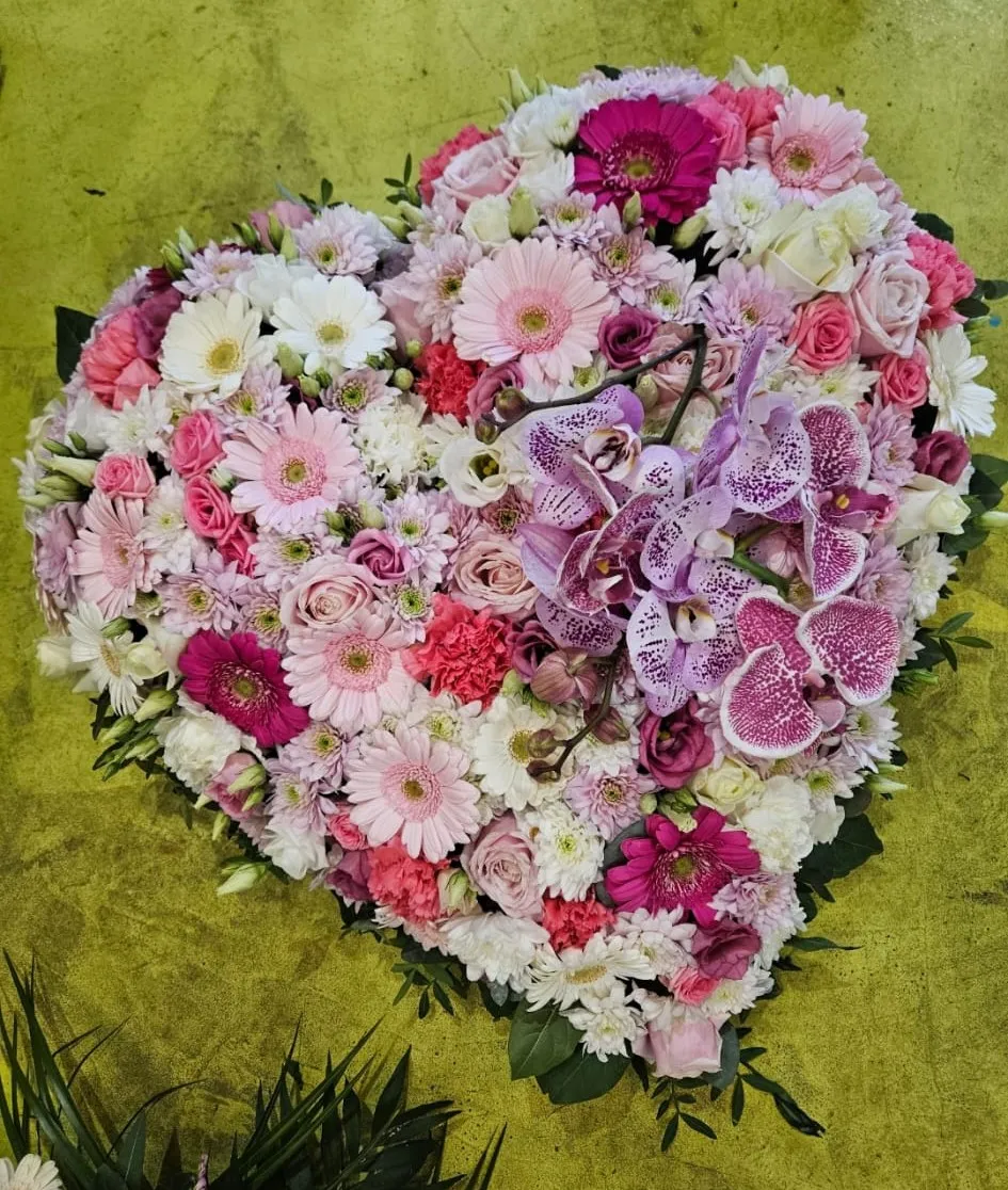 Grande Image de nos réalisations